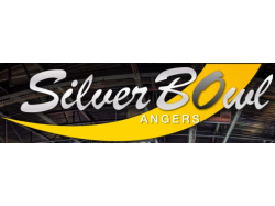 SilverBowl